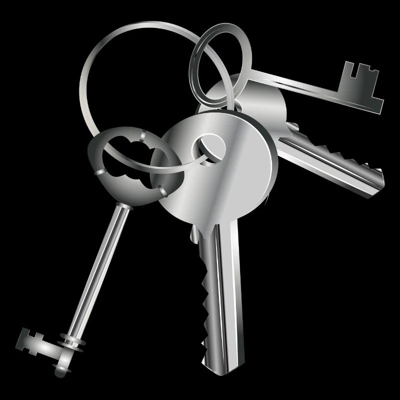silver-colored keys on a keychain