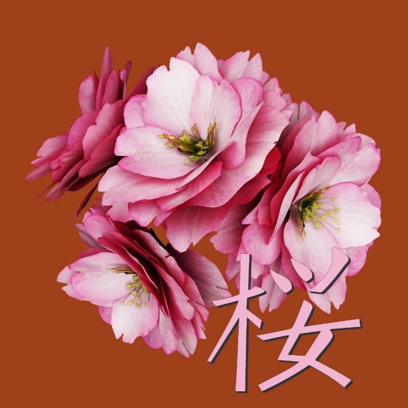 Cherry Blossom