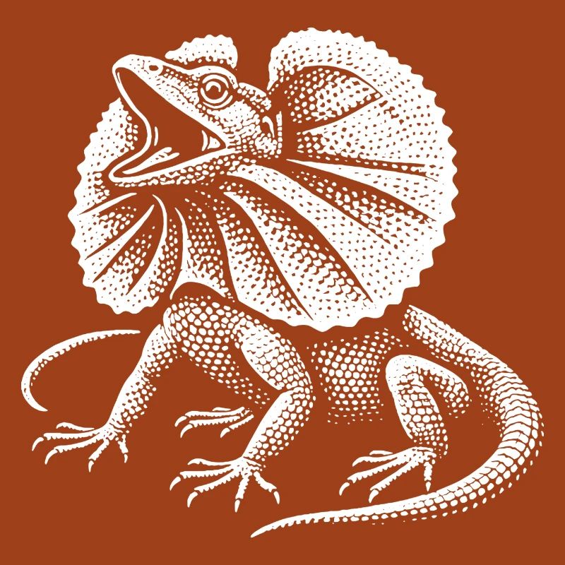 Curled Dragon Lizard