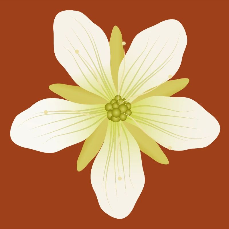 Delicate Venus flytrap blossom in pastel