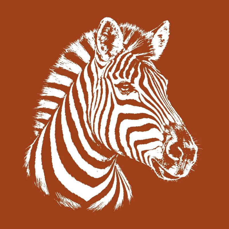 Zebra – schwarz-weiße Grafik mit einem Zebra