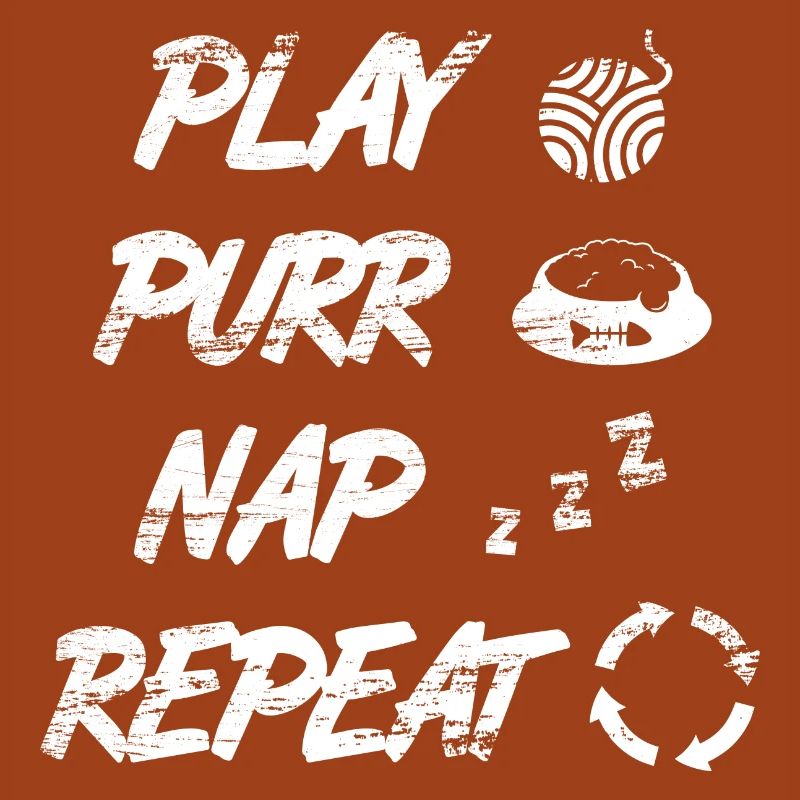 Routine quotidienne du chat