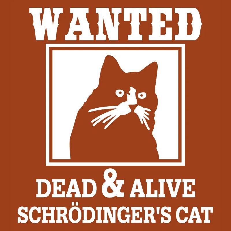 Schrödingers Katze gesucht, Nerdiges Quantenphysik