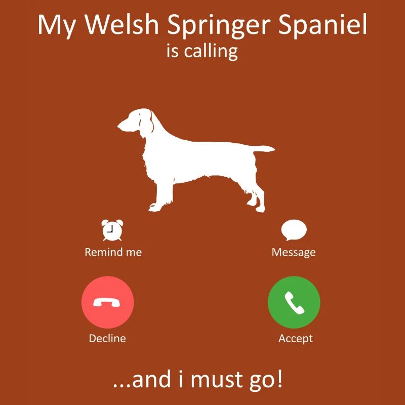 Welsh Springer Spaniel ruft lustigen Hund
