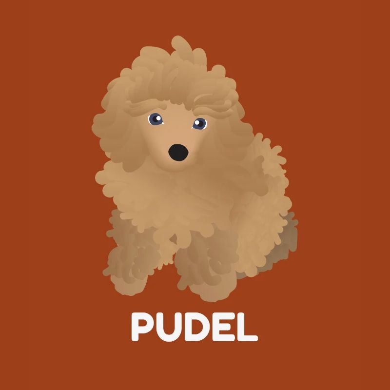 Chiot Caniche