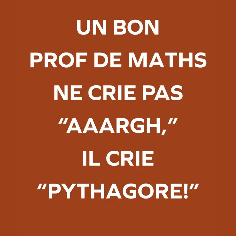 Prof de maths crie Pythagore