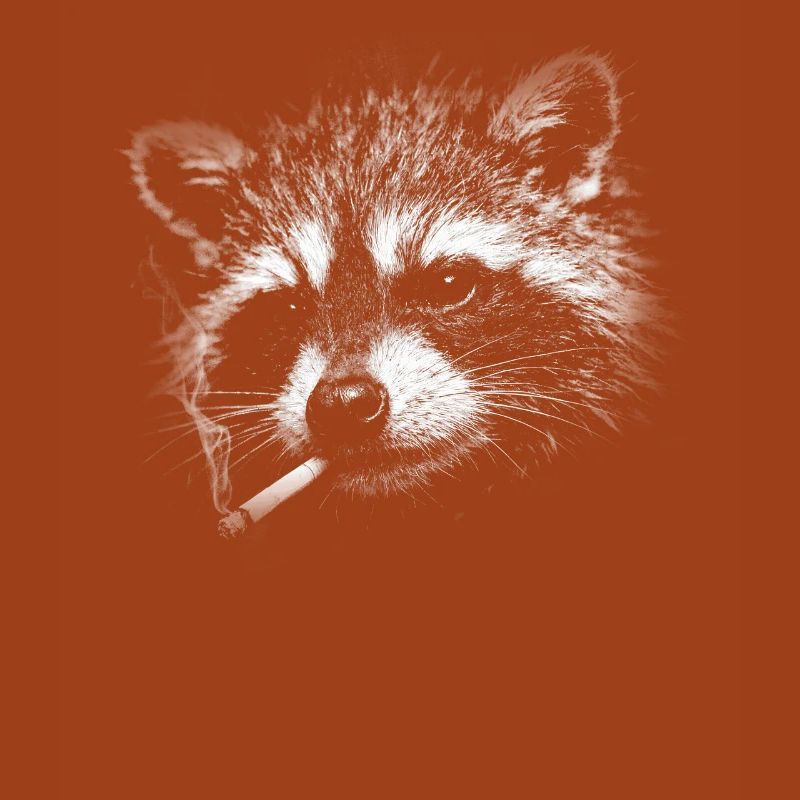 Rauchen, Zigarette, Waschbär raucht eine Zigarette