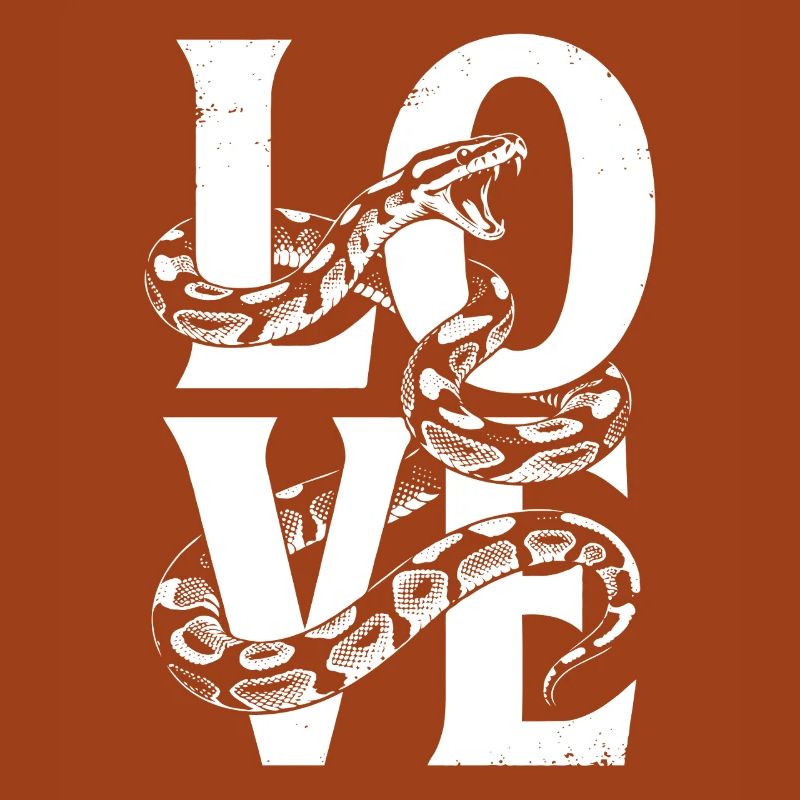 King Python Snakes LOVE Terrarium Python