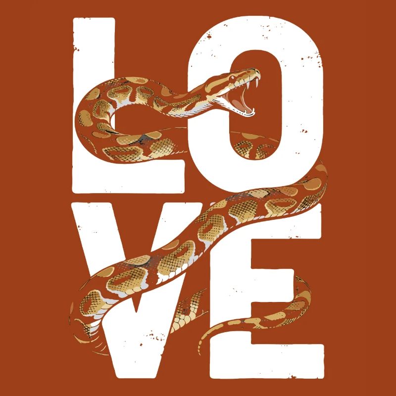 Les serpents rois Python ADORENT les pythons de terrarium