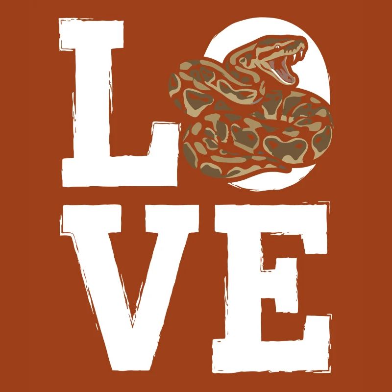 Königspython Schlangen LOVE Terrarium Python