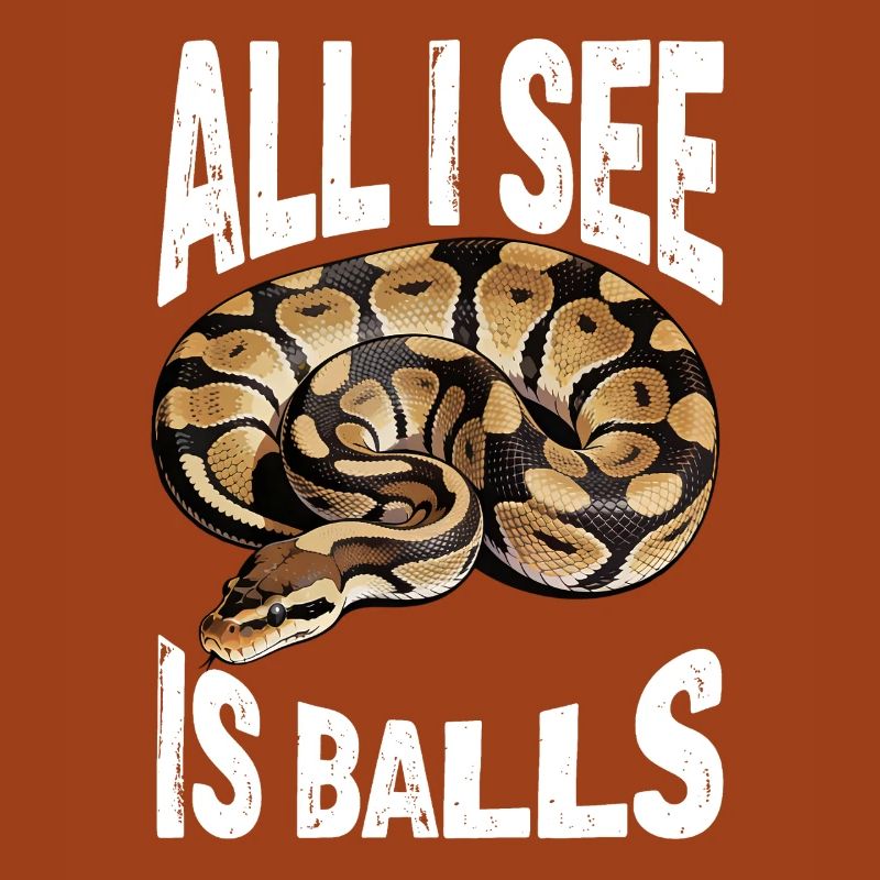 Python roi Serpents Amateurs de terrarium Python