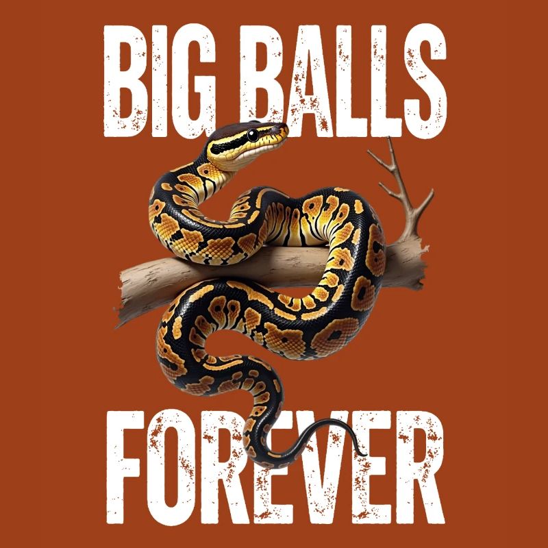 Python roi Serpents Amateurs de terrarium Python