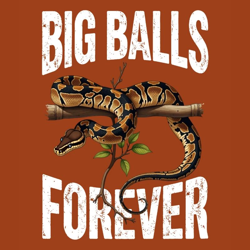 Python roi Serpents Amateurs de terrarium Python