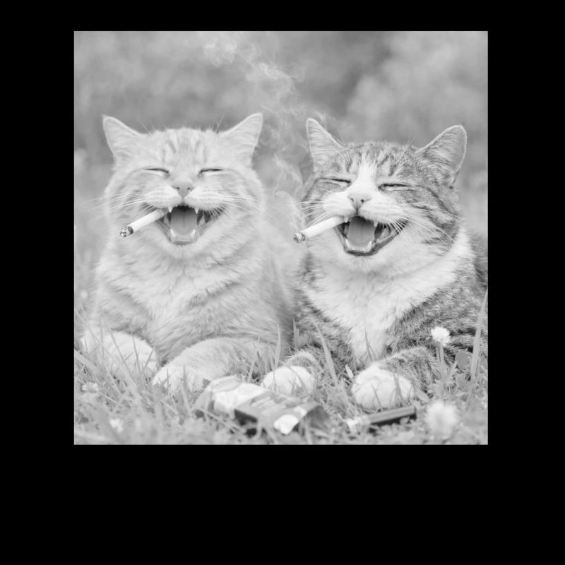 Lustiges Katzen design