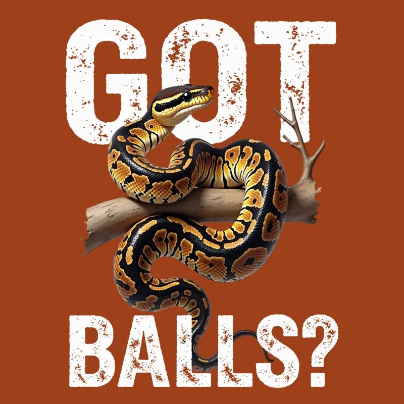 Python roi Serpents Amateurs de terrarium Python