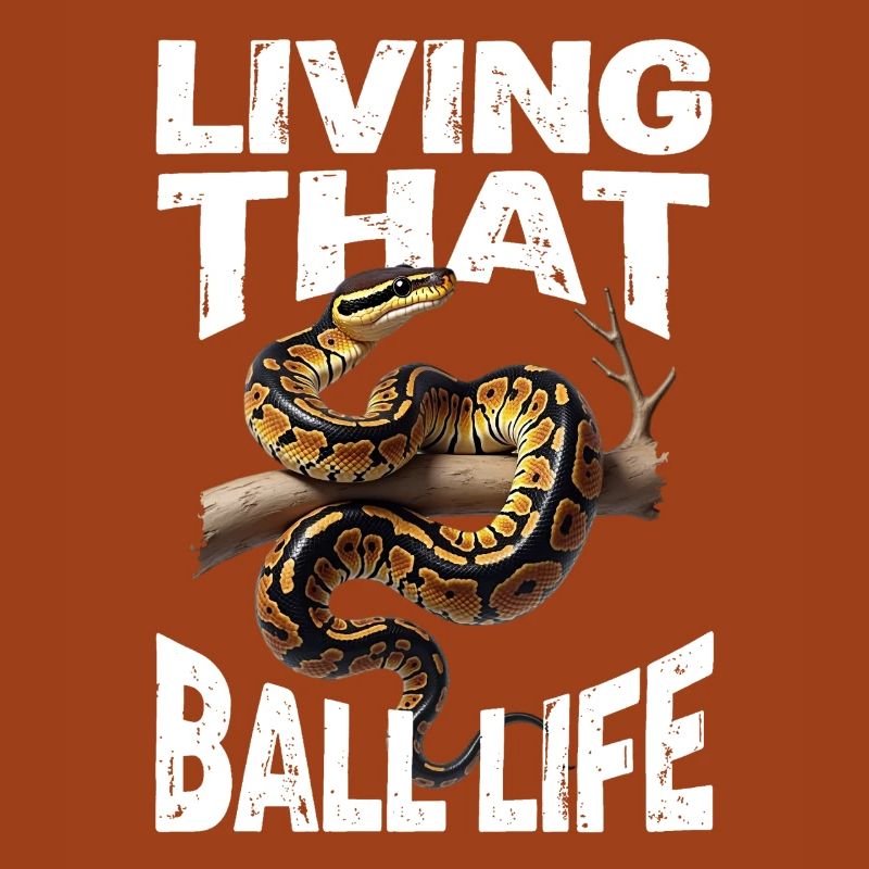 Königspython Schlangen Liebhaber Terrarium Python