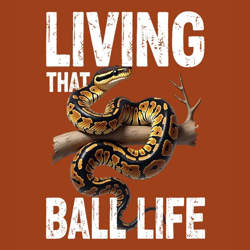 Python roi Serpents Amateurs de terrarium Python