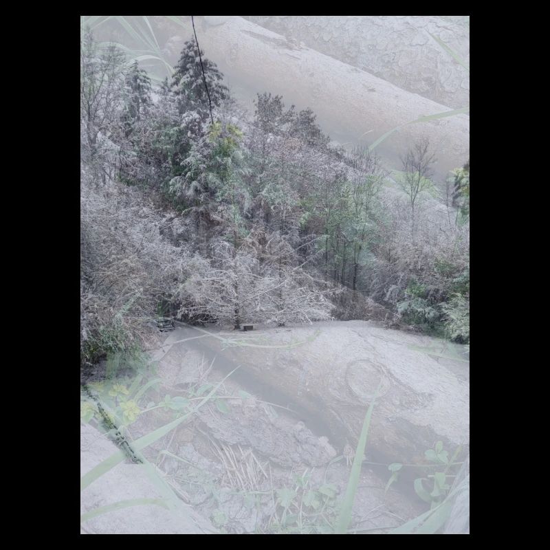 Schnee Landschaft auf Baumstämmen