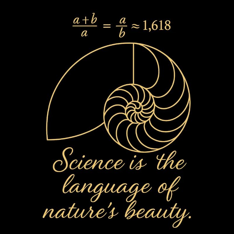 Shell of Fibonacci