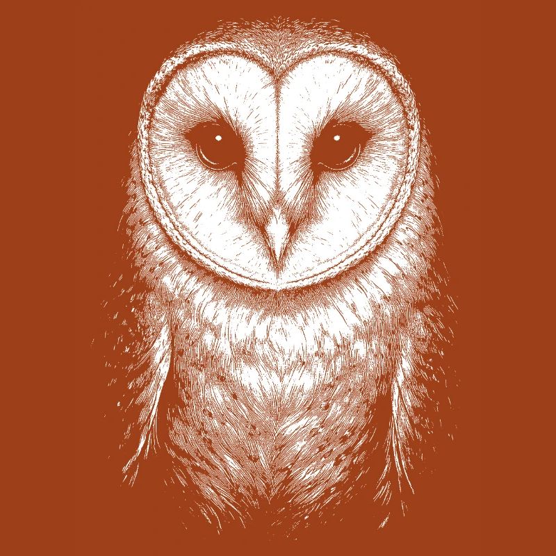 Barn owl