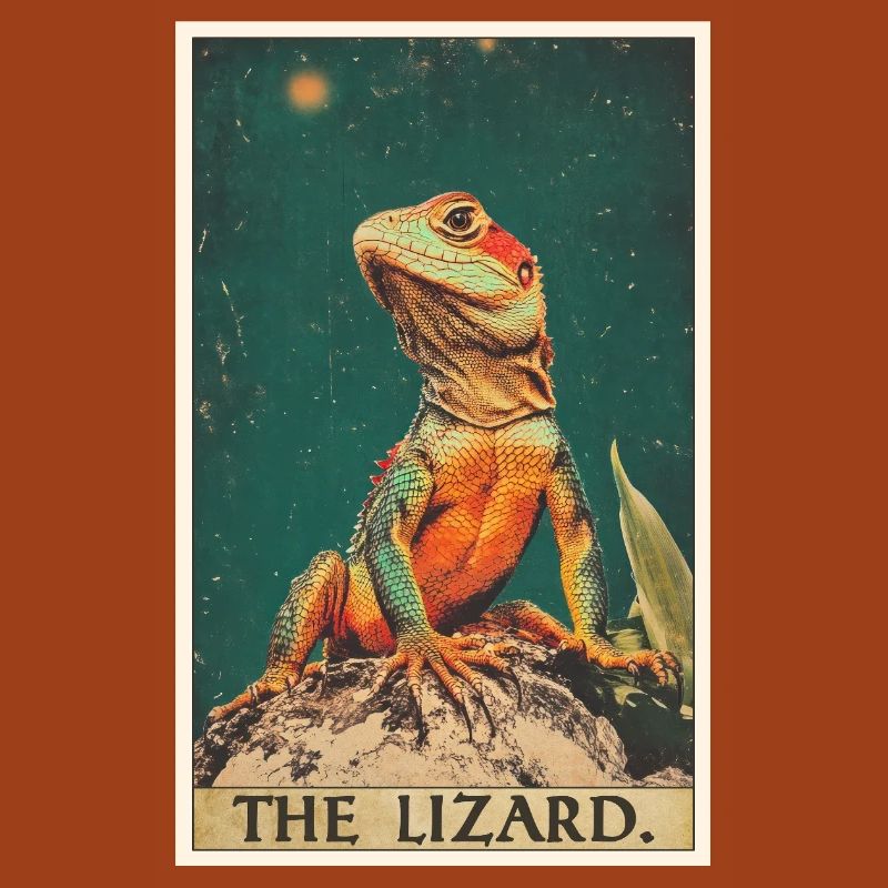 Lizards Lizard