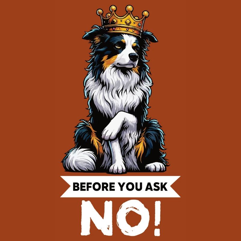 Avant de demander aux Australian Shepherds Aussie Aussies