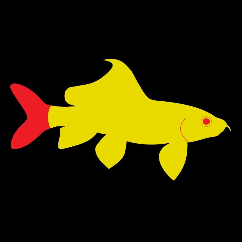 Epalzeorhynchos bicolor rouge et jaune