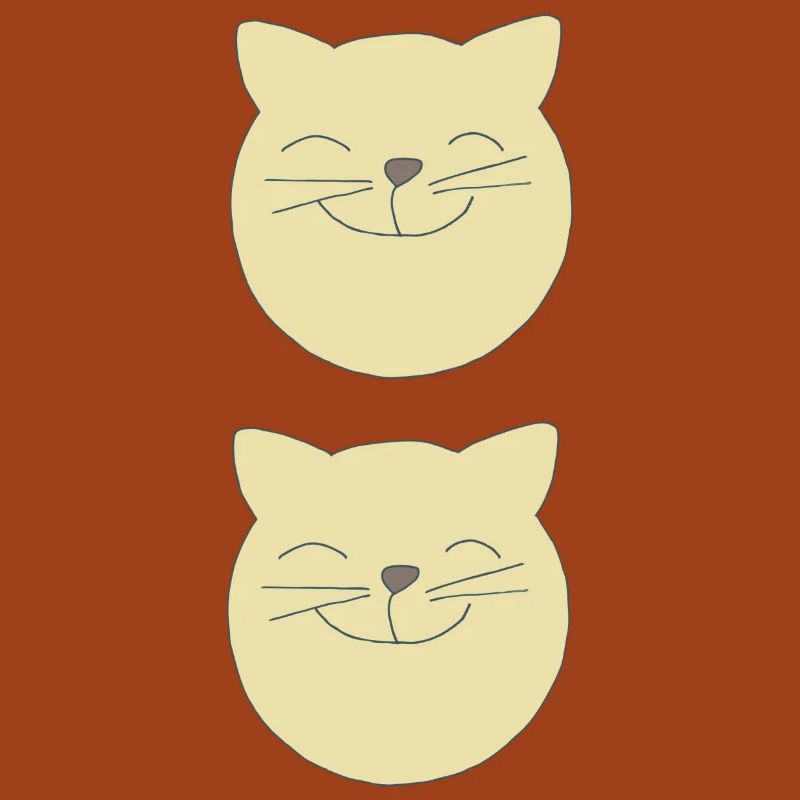 Katzen doppelt