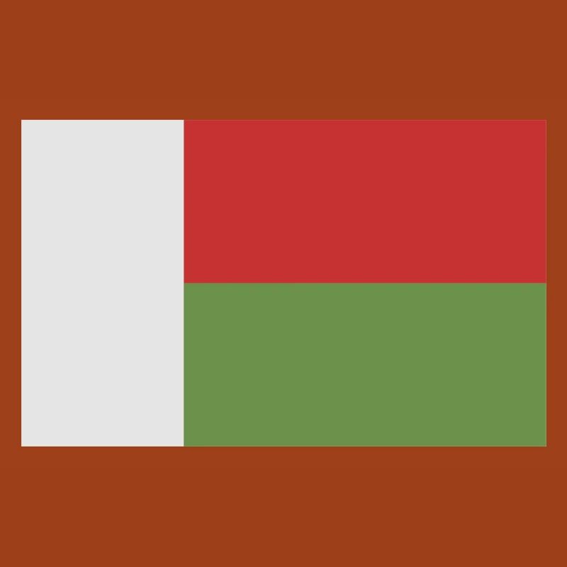 Drapeau de Madagascar