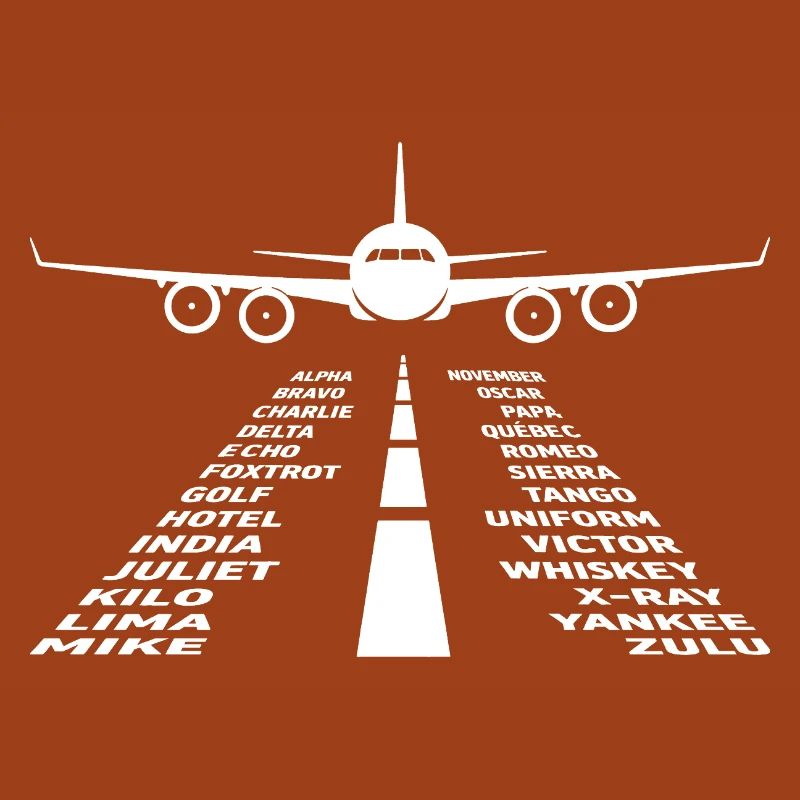 Flugzeug Flug Pilot Flugzeug Fluggesellschaft