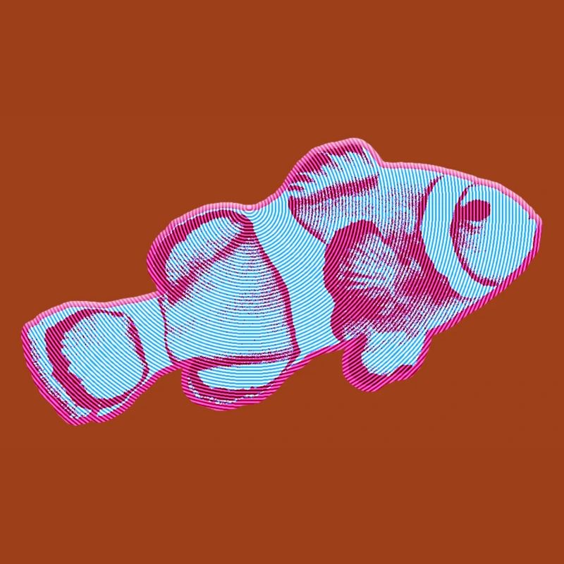 Conception de poisson KapaKala