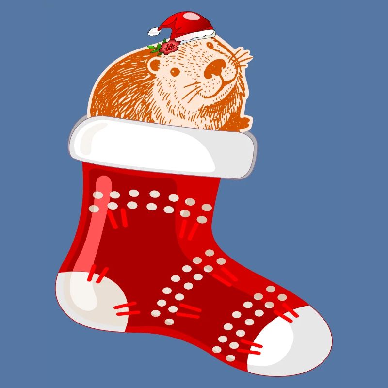 WEIHNACHTSMANN WEIHNACHTSSTRÜMPFE CAPYBARA
