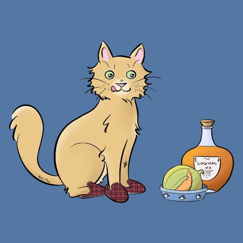 Chat-rentais