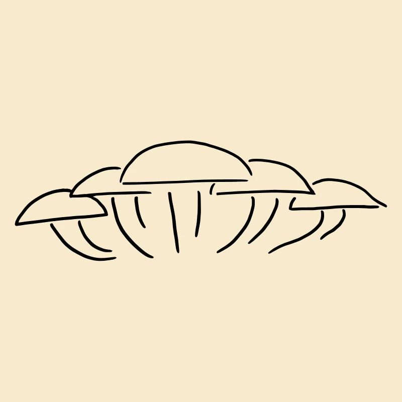 Pilzgruppe - Eine Gruppe Pilze