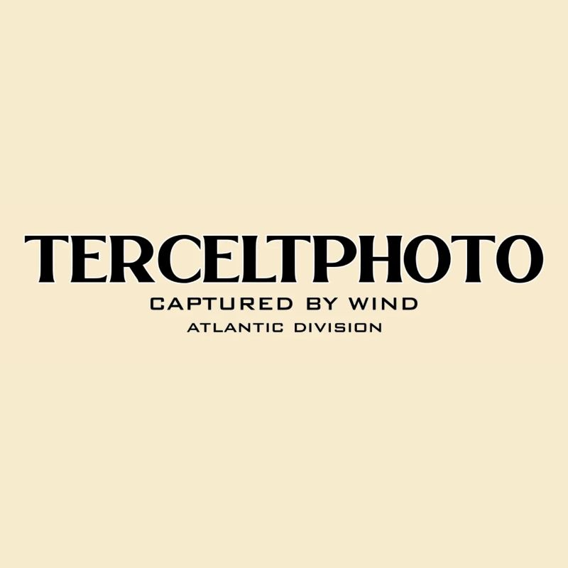 Captured_by_wind_atlantic_division
