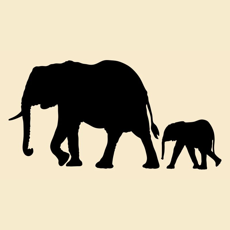 Eléphants