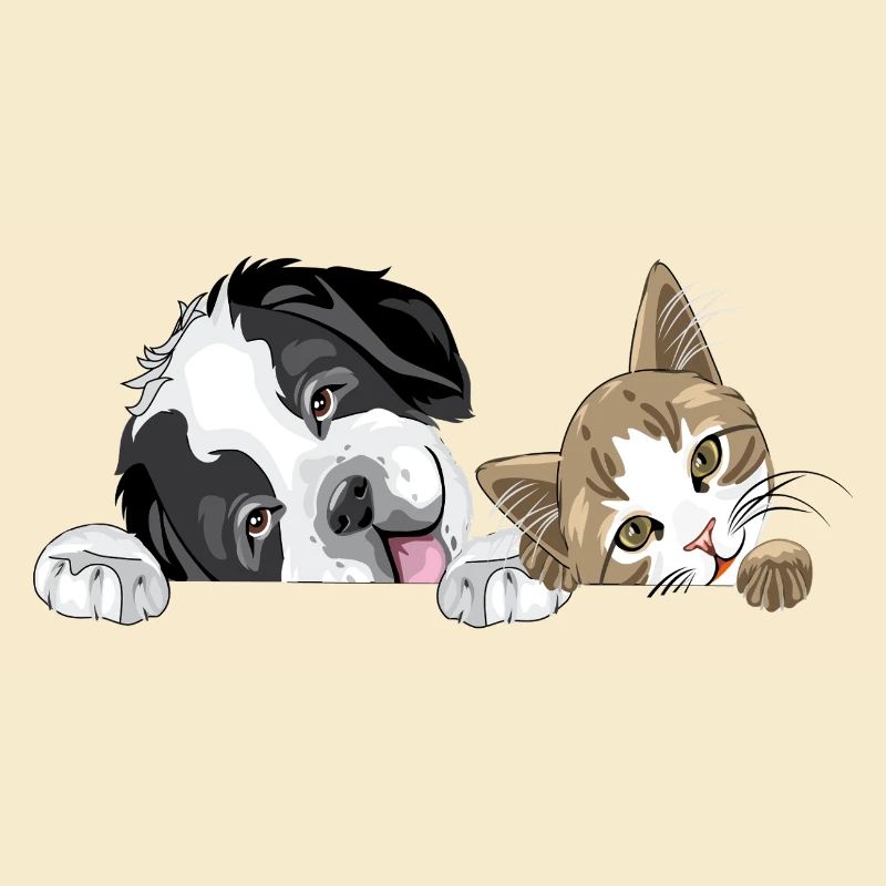 Chat et chien