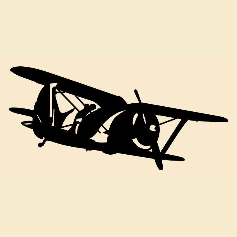 Biplane i-153