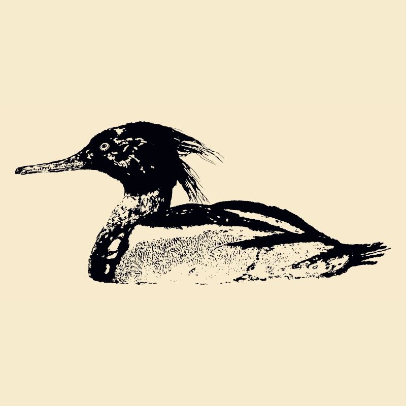 MERGANSER