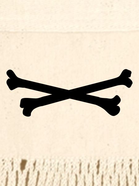 bones