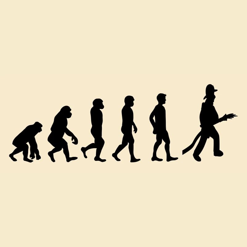 Évolution de l’incendie