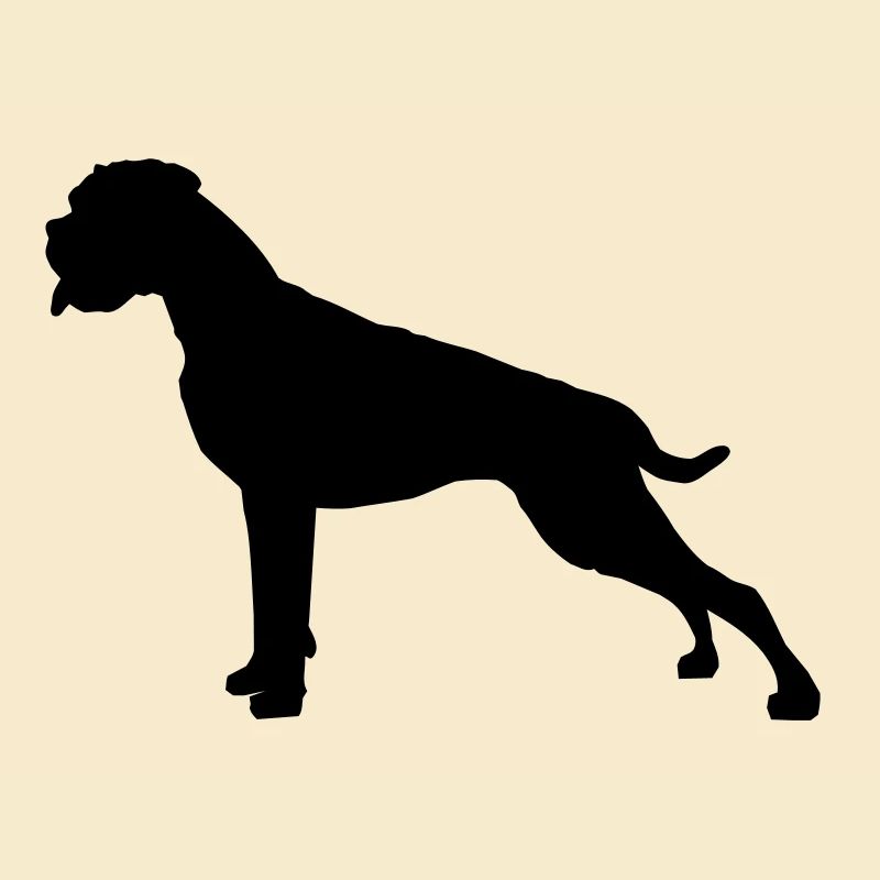 Boxer Stand silhouette