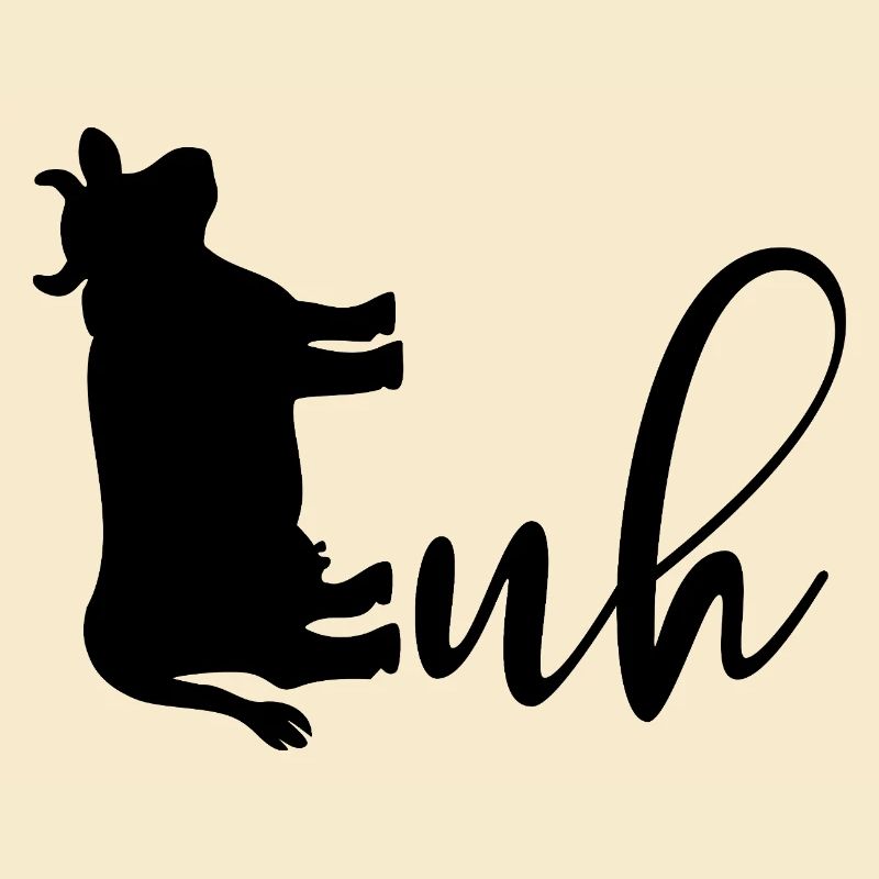 Hausrinder Kuh Kühe