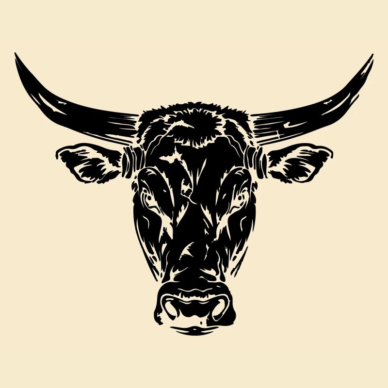 Stier