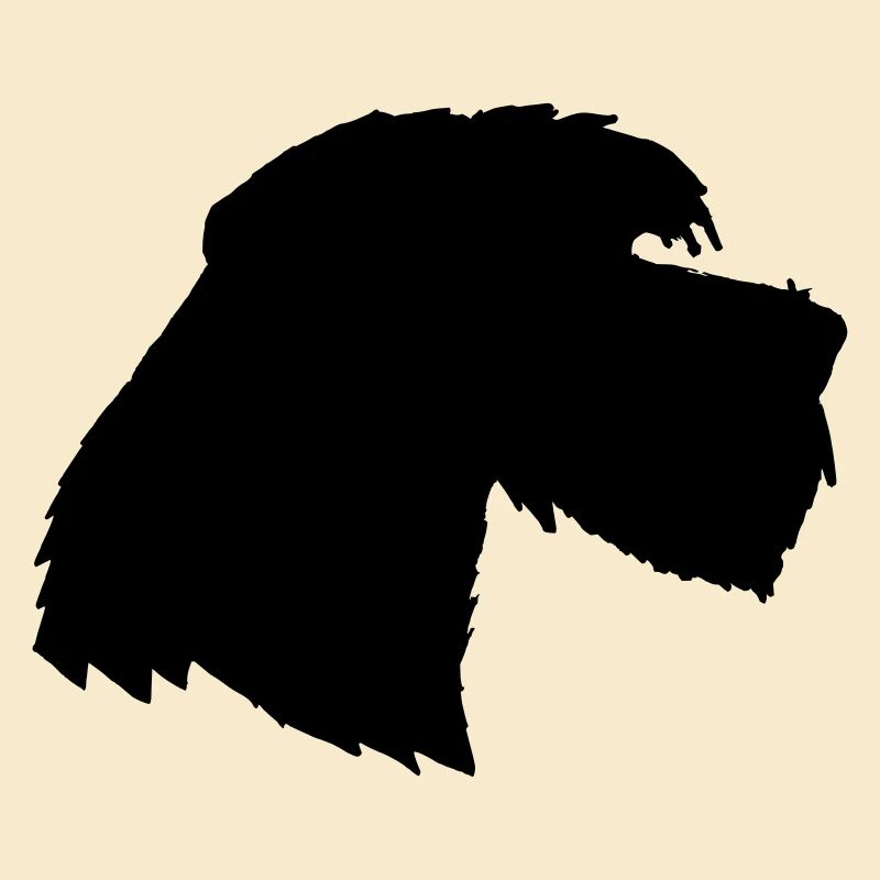 Chien Géant Schnauzer 3, Schnauzer schön