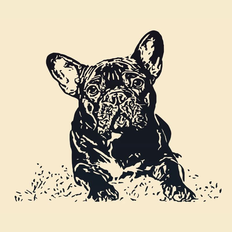 Bouledogue Français