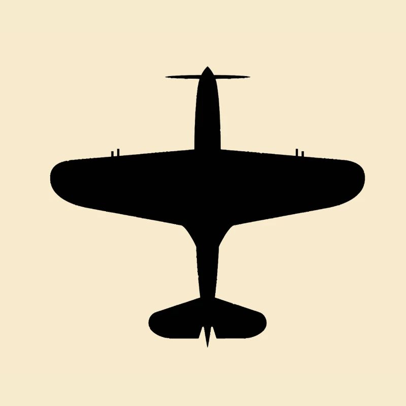 Top-Down Flugzeug Silhouette