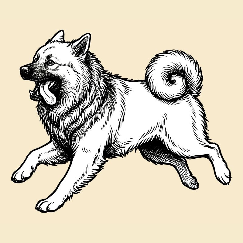 Eurasier | Hell