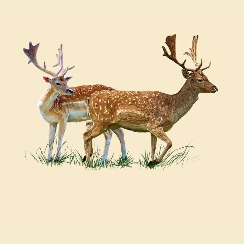 cerf