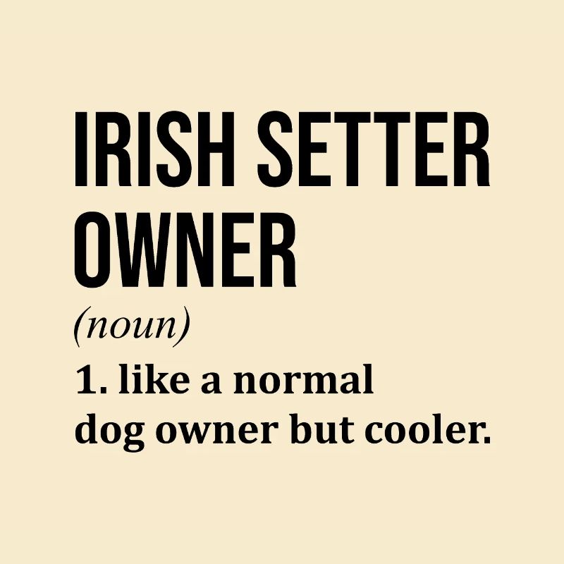 Irischer Setter